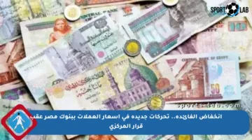 انخفاض الفائدة.. تحركات جديدة في أسعار العملات ببنوك مصر عقب قرار المركزي